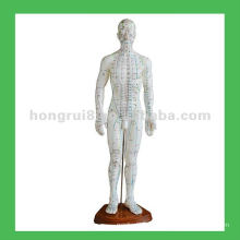 Puntos de cuerpo de la acupuntura humana china 50cm Modelo de la acupuntura